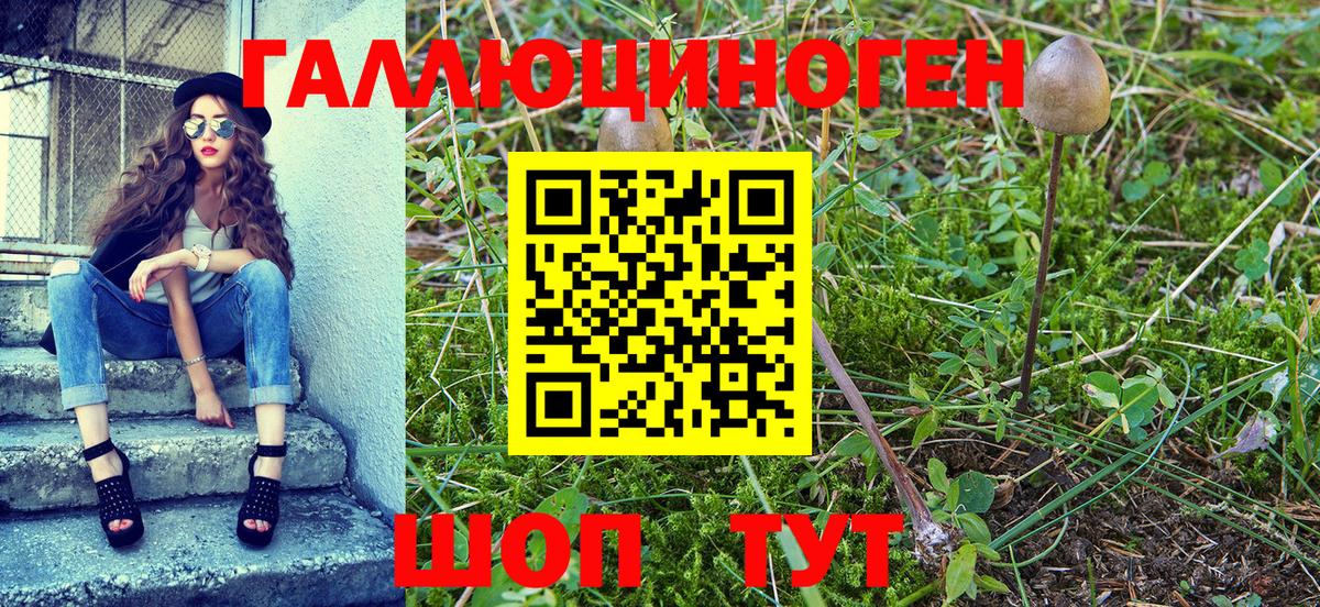 Псилоцибиновые грибы прущие грибы Ярославль
