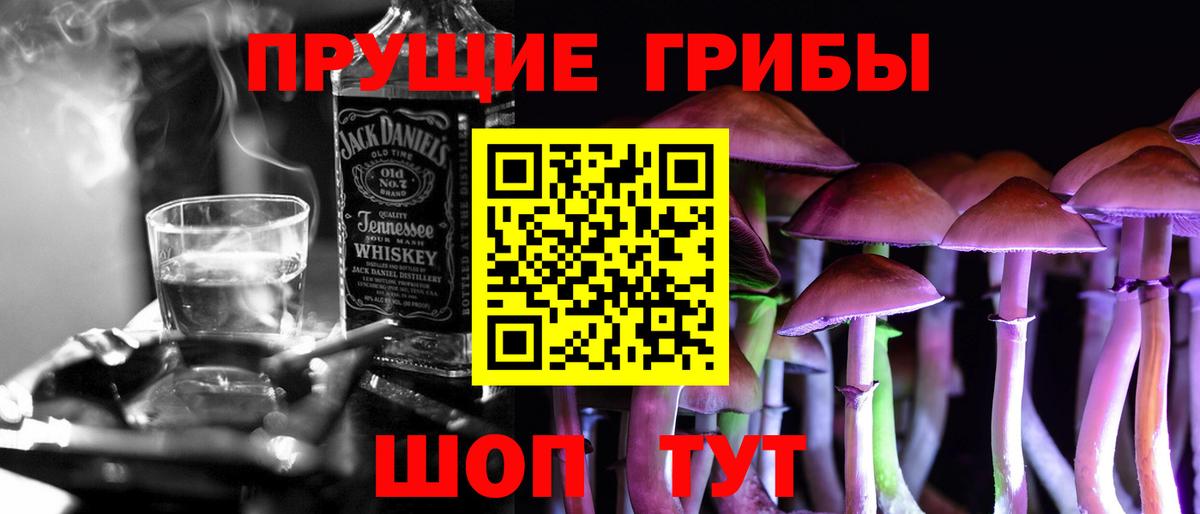Ярославль  Псилоцибиновые грибы Psilocybe  Вход с VPN 